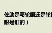 佐助是写轮眼还是轮回眼（佐助的另一只写轮眼是谁的）