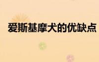 爱斯基摩犬的优缺点（爱斯基摩犬优缺点）
