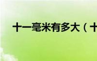 十一毫米有多大（十一毫米多长参照图）