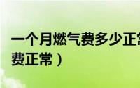 一个月燃气费多少正常（成都一个月多少燃气费正常）