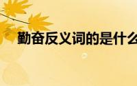 勤奋反义词的是什么意思（勤奋反义词）