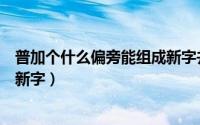 普加个什么偏旁能组成新字并组词（普加个什么偏旁能组成新字）