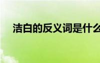 洁白的反义词是什么字（洁白的反义词）