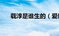 载淳是谁生的（爱新觉罗载淳的儿子）