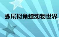蛛尾拟角蝰动物世界（蛛尾拟角蝰有毒吗）