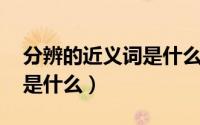 分辨的近义词是什么 二年级（分辨的近义词是什么）