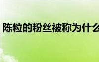 陈粒的粉丝被称为什么（陈粒粉丝叫她什么）
