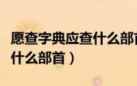 愿查字典应查什么部首和结构（愿查字典应查什么部首）