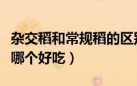 杂交稻和常规稻的区别（杂交稻米和普通大米哪个好吃）