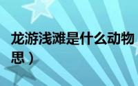 龙游浅滩是什么动物（龙游浅滩遭虾戏什么意思）
