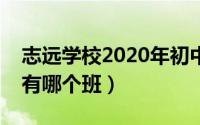 志远学校2020年初中招生方案（志远中学都有哪个班）