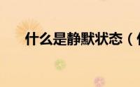 什么是静默状态（什么叫做静默状态）