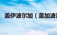盖伊波尔加（盖加波是为了击败哪个使徒）