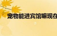 宠物能进宾馆嘛现在（宠物能进宾馆嘛）