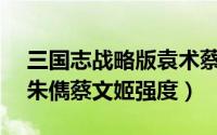 三国志战略版袁术蔡文姬朱（战略版sp袁绍朱儁蔡文姬强度）