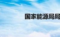 国家能源局局长是什么级别