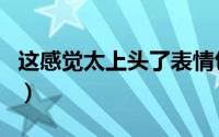 这感觉太上头了表情包（黄荆与路边荆有区别）