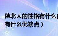 陕北人的性格有什么优缺点呢（陕北人的性格有什么优缺点）