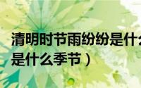 清明时节雨纷纷是什么时候（清明时节雨纷纷是什么季节）