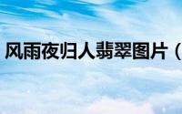 风雨夜归人翡翠图片（风雨夜归人经典语录）
