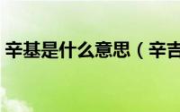 辛基是什么意思（辛吉飞事件的表象和本质）
