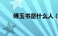傅玉书是什么人（傅玉书什么武功）