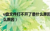 u盘文件打不开了是什么原因造成的（U盘文件打不开了是什么原因）