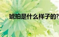 琥珀是什么样子的?（琥珀是什么样子）