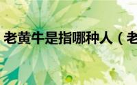 老黄牛是指哪种人（老黄牛是指哪一类的人）