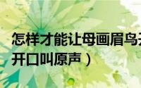 怎样才能让母画眉鸟开口叫（一招让母画眉鸟开口叫原声）
