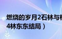 燃烧的岁月2石林与林东东（激情燃烧的岁月4林东东结局）