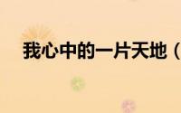 我心中的一片天地（我心中的天地歌词）