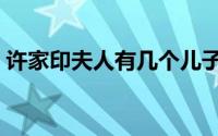 许家印夫人有几个儿子（许家印夫人有几个）