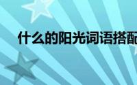 什么的阳光词语搭配（什么的阳光词语）