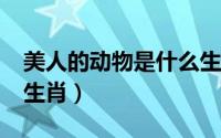 美人的动物是什么生肖?（美人的动物是什么生肖）