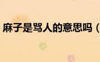 麻子是骂人的意思吗（土话麻子是什么意思）