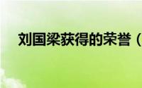 刘国梁获得的荣誉（刘国梁立过几等功）