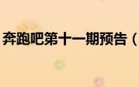 奔跑吧第十一期预告（奔跑吧11季官宣阵容）