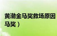 黄渤金马奖救场原因（为什么黄渤老是主持金马奖）