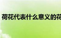 荷花代表什么意义的花（荷花代表什么意义）