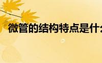 微管的结构特点是什么（微管的结构特点）