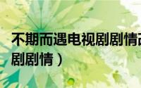 不期而遇电视剧剧情改编小说（不期而遇电视剧剧情）