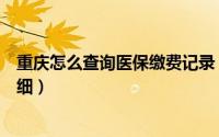 重庆怎么查询医保缴费记录（重庆医疗保险怎么查询缴费明细）