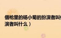 借枪里的杨小菊的扮演者叫什么名字（借枪里的杨小菊的扮演者叫什么）