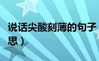 说话尖酸刻薄的句子（说话尖酸刻薄是什么意思）