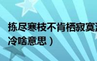 拣尽寒枝不肯栖寂寞沙洲冷啥意思（寂寞沙洲冷啥意思）