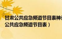 甘肃公共应急频道节目表神勇武工队是每天几点播放（甘肃公共应急频道节目表）