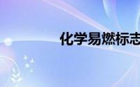化学易燃标志（易燃标志）