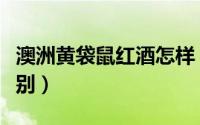 澳洲黄袋鼠红酒怎样（红酒黄袋鼠与红袋鼠区别）
