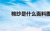 棉纱是什么面料图片（棉纱是什么）